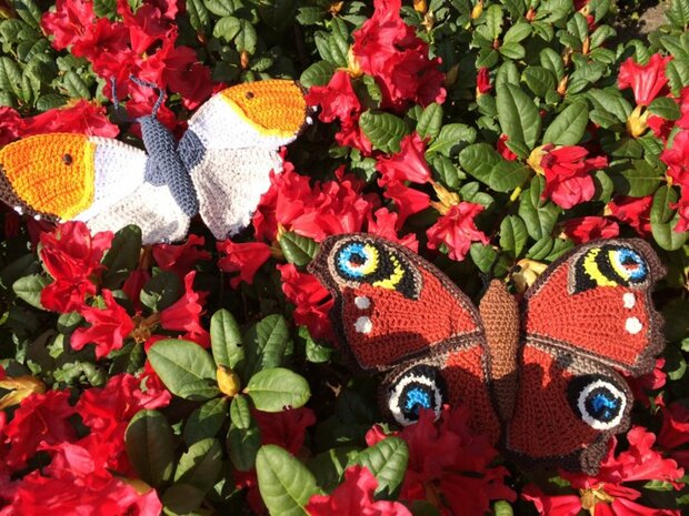 crochetpattern Peacock Butterfly
