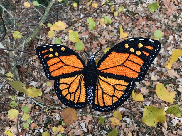 haakpatroon monarch vlinder