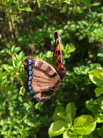 crochet pattern the little fox butterfly