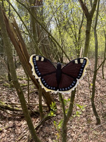 Haakpatroon Aurelia Nymphalis Antiopa  rouwmantel vlinder