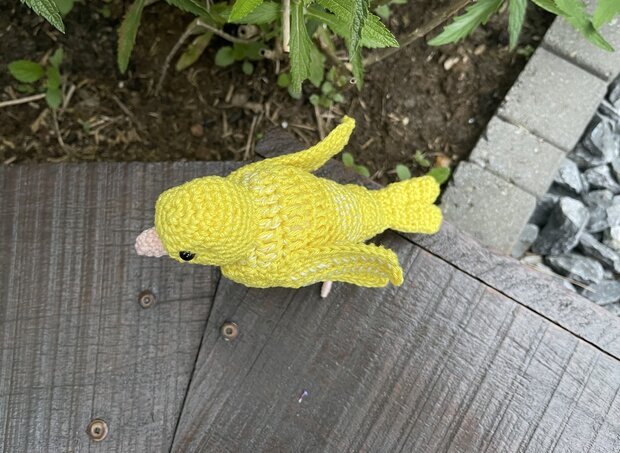 crochet pattern canary bird