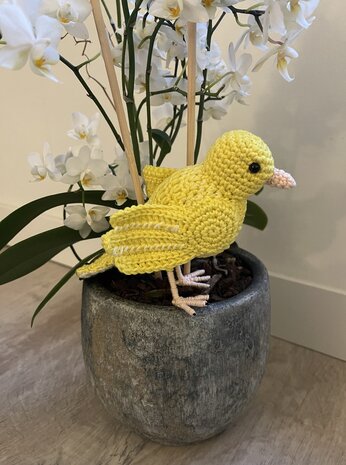 crochet pattern canary bird