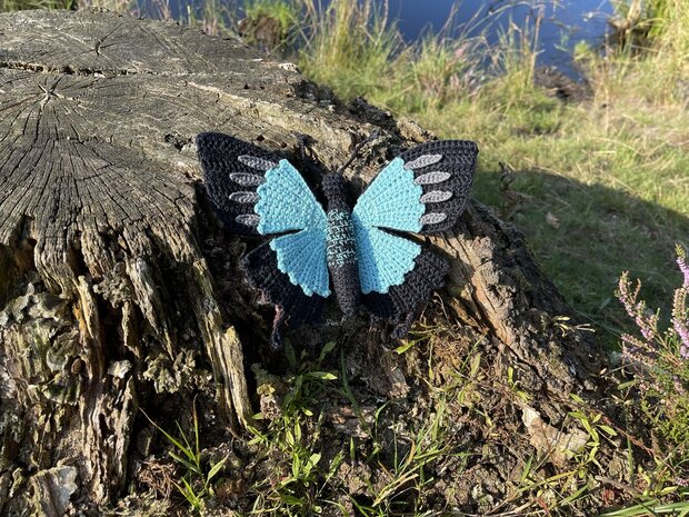 haakpatroon papilio ulysses butterfly