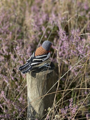 crochet pattern Finch