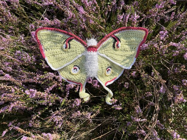 Crochetpattern Luna Moth 