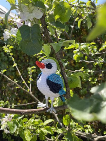 haakpatroon Senegal-ijsvogel