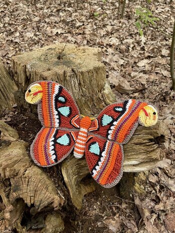 Crochetpattern Atlas  Moth 