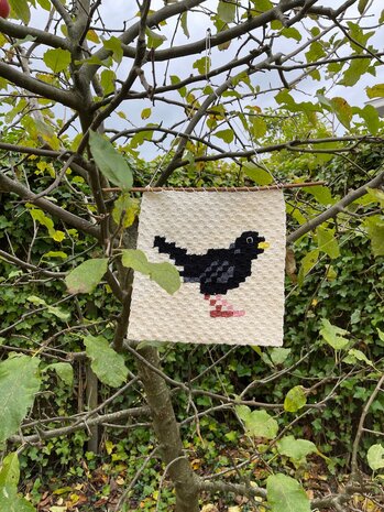 Merel corner to corner haakpatroon