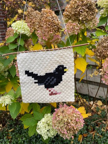 Merel corner to corner haakpatroon