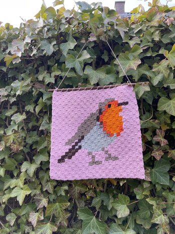 Roodborstje corner to corner haakpatroon