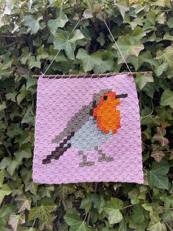 Roodborstje corner to corner haakpatroon