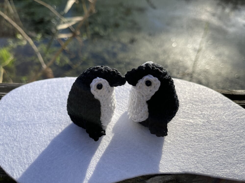 haakpatroon pinguïns