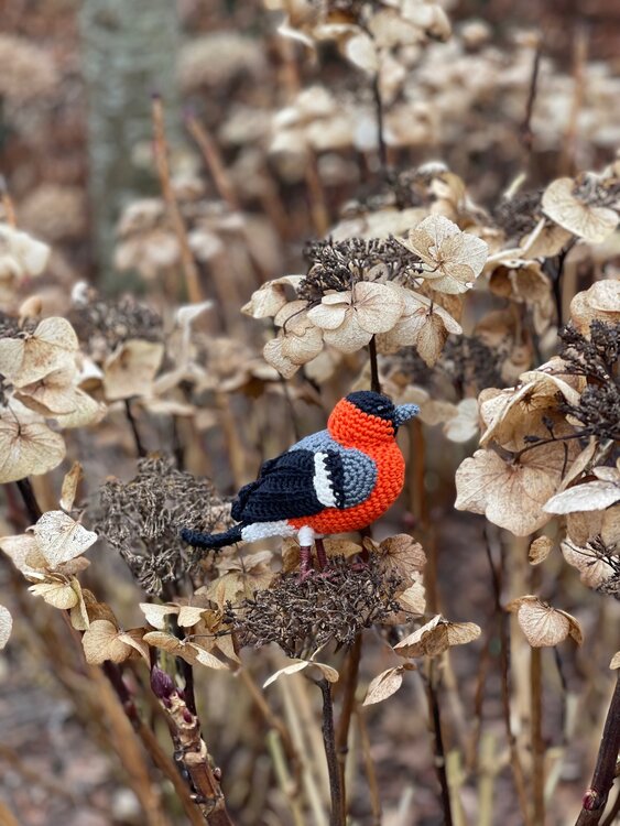 Goudvink haakpatroon