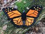haakpatroon monarch vlinder_