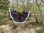 Haakpatroon Aurelia Nymphalis Antiopa  rouwmantel vlinder_